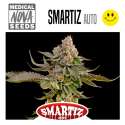 SMARTIZ AUTO 