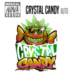 CRYSTAL CANDY AUTO