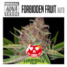 FORBIDDEN FRUIT AUTO