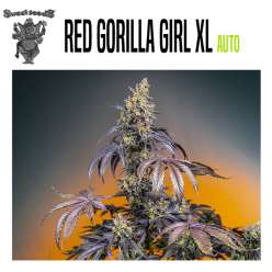 AUTO RED GORILLA GIRL XL 