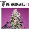 SWEET MANDARINE ZKITTLEZ F1 FAST VERSION 