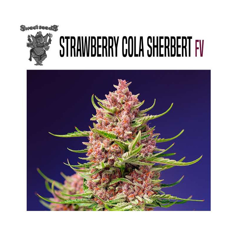 STRAWBERRY COLA SHERBET FAST VERSION 
