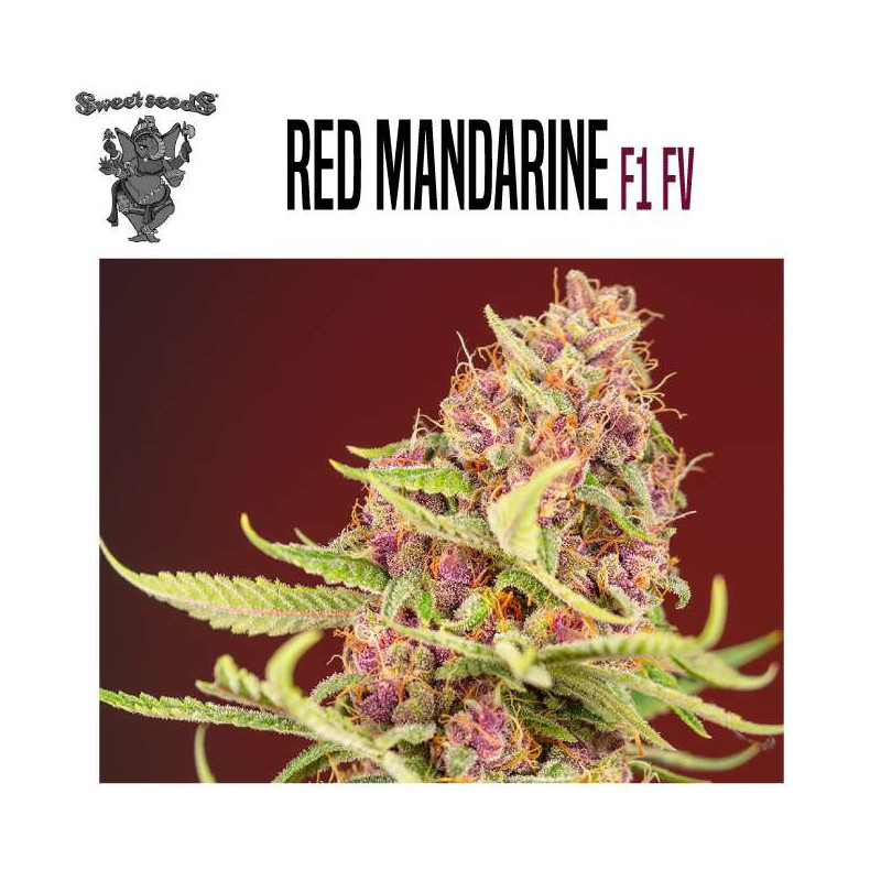 RED MANDARINE F1 FAST VERSION 