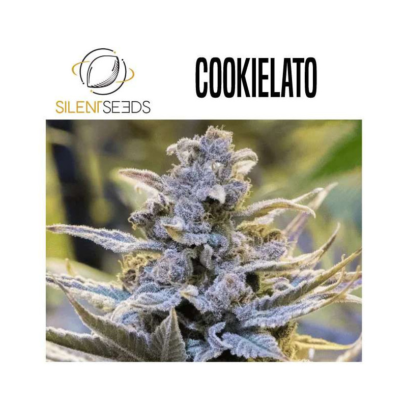 COOKIELATO
