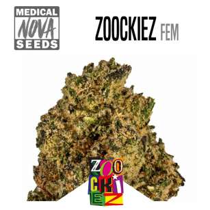 ZOOCKIEZ