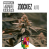 ZOOCKIEZ AUTO 
