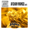 Afghan Mango auto