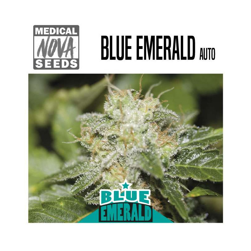 Blue Emerald Auto