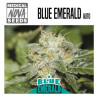 Blue Emerald Auto