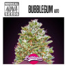 BUBBLEGUM AUTO