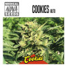 COOKIES AUTO