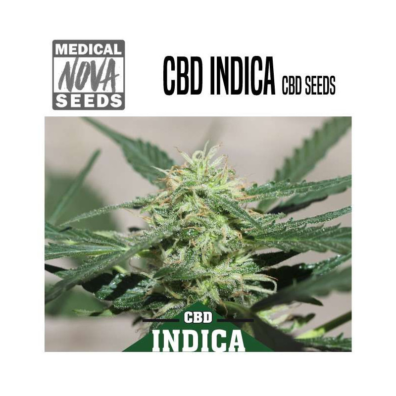 CBD INDICA