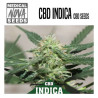 CBD INDICA