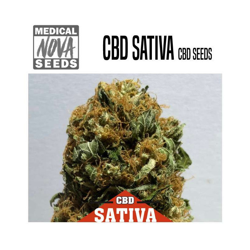 CBD SATIVA