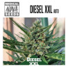 DIESEL XXL AUTO 
