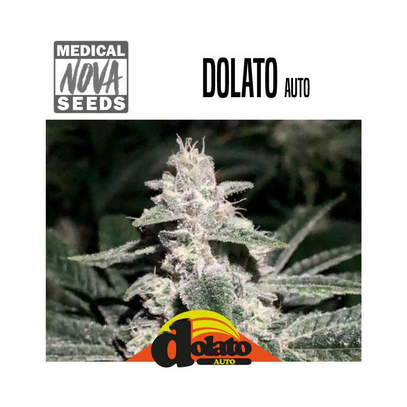 DOLATO AUTO