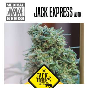 JACK EXPRESS AUTO