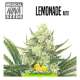 LEMONADE AUTO 
