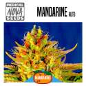MANDARINE AUTO
