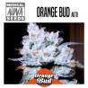 ORANGE BUD AUTO