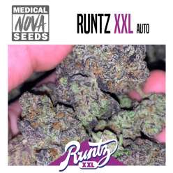 RUNTZ XXL
