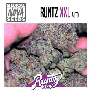 RUNTZ XXL