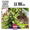 UK MAX AUTO