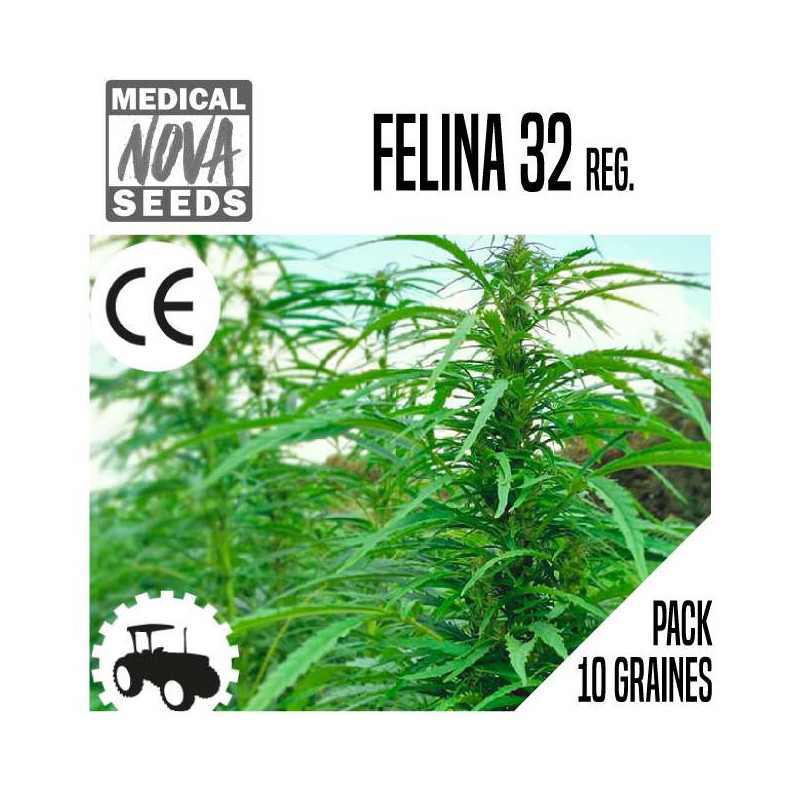 FELINA 32