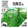 FELINA 32