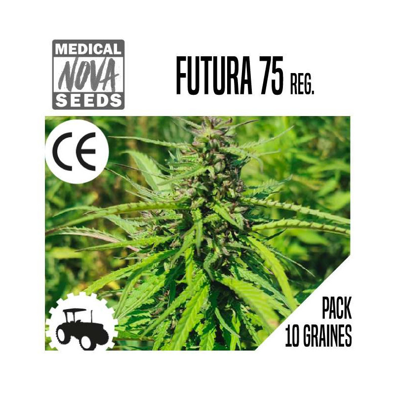 FUTURA 75