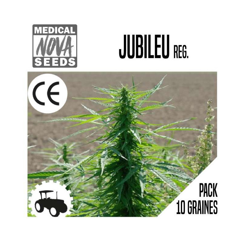 JUBILEU