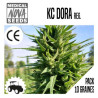 KC DORA