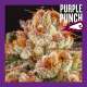 PURPLE PUNCH