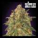 ZKITTLEZ