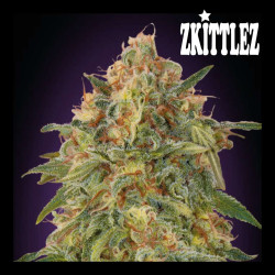 ZKITTLEZ