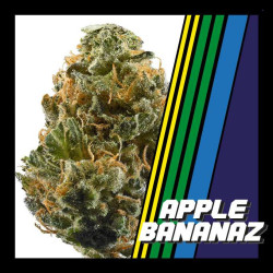 APPLE BANANAZ