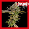 SMARTIZ AUTO 