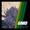 GMO AUTO 
