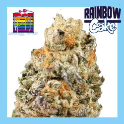 RAINBOW CAKE 