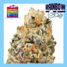 RAINBOW CAKE 