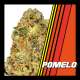POMELO