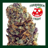 FORBIDDEN FRUIT 