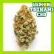 LEMON TSUNAMI CBD