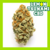 LEMON TSUNAMI CBD