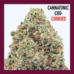 CANNATONIC CBD COOKIES 