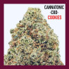 CANNATONIC CBD COOKIES 