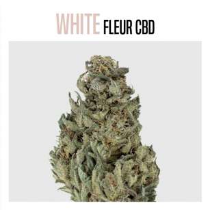 FLEUR DE CBD WHITE 