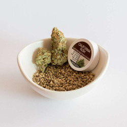 California Kush - Medical Nova seeds