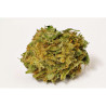 California Kush - Medical Nova seeds