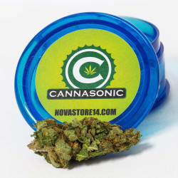 Cannasonic   Big Bud x Skunk - Medical Nova Seeds